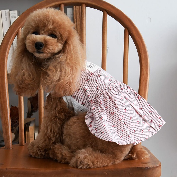 LGW355【Gemelli】キャミソール重ね着風ワンピース