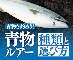 青物を釣ろう！青物ルアーの種類や選び方