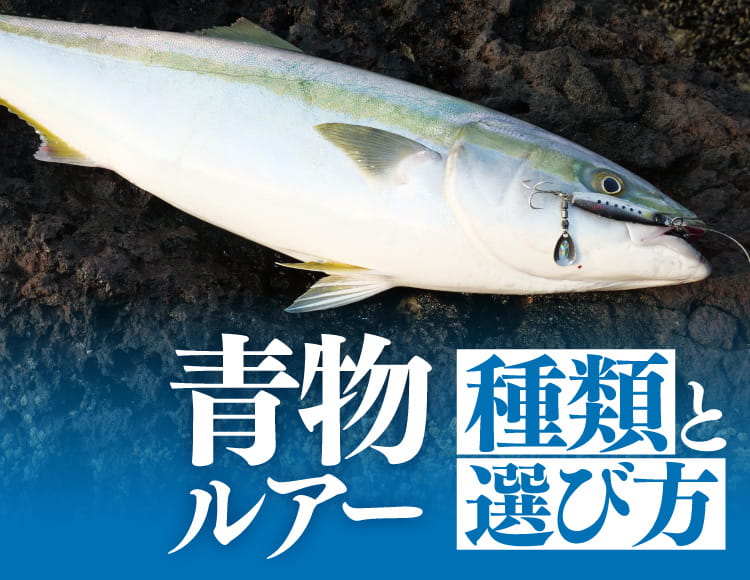 青物ルアー入門 青物が釣れるルアーの種類や選び方 初心者必見