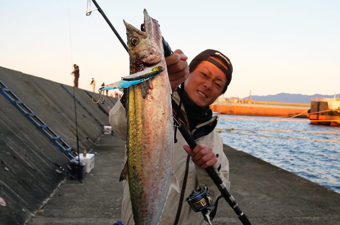 青物ルアー入門 青物が釣れるルアーの種類や選び方 初心者必見