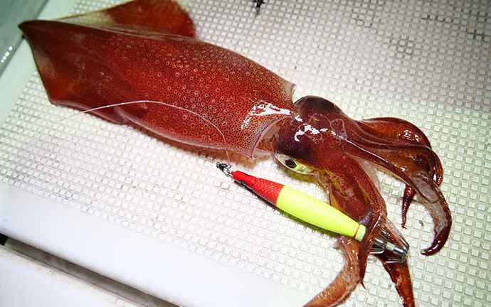 メタルスッテ