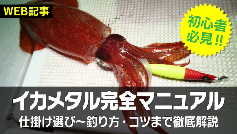 SQUID JUNKY（スクイッドジャンキー）｜イカメタル・オモリグ