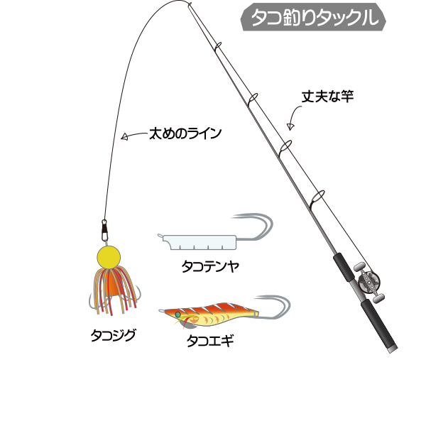 まずは準備から タコのツボ特集 ハヤブサ