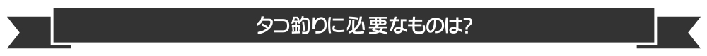 タコ釣りに必要なものは?