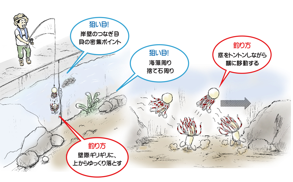 タコ釣りの基本 タコのツボ特集 ハヤブサ