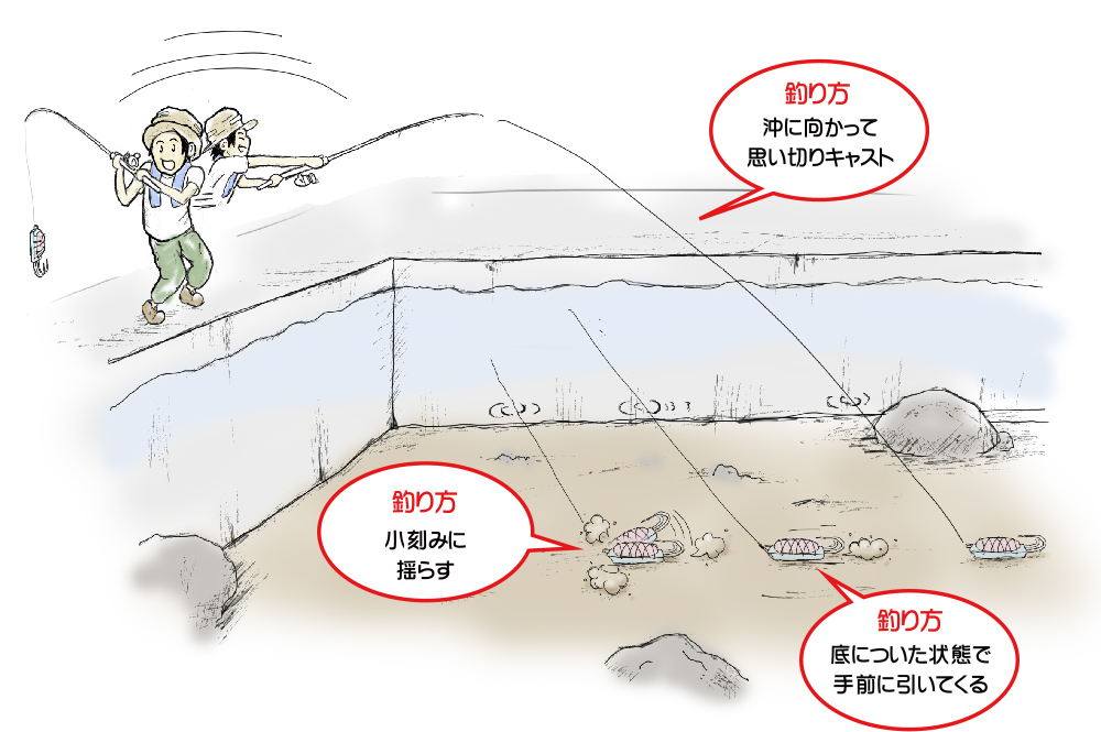 タコ釣りの基本 タコのツボ特集 ハヤブサ