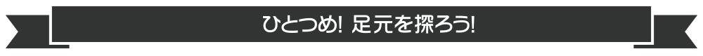 タコ釣りに必要なものは？