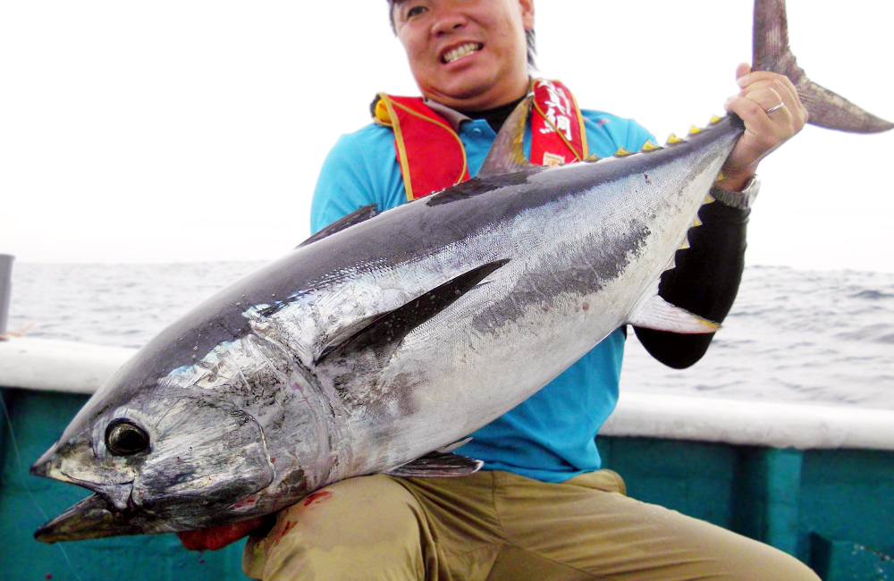 喰わせサビキとは 船極喰わせサビキ特集18 ハヤブサ 喰わせサビキとは 船極喰わせサビキ特集18 ハヤブサ
