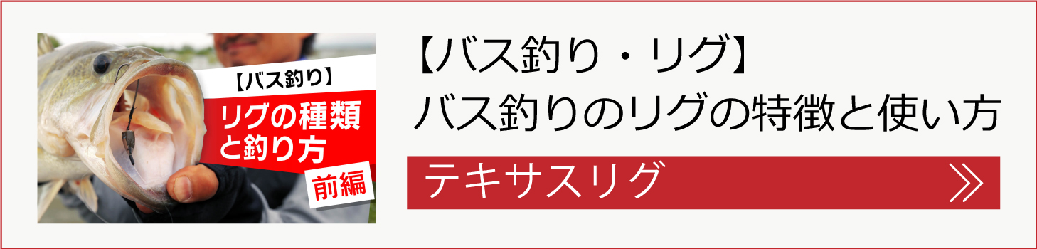 テキサスリグの釣り方はこちら！