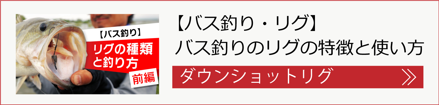 ネコリグの釣り方はこちら！