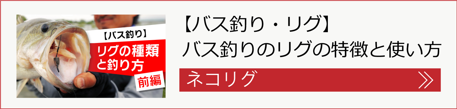 ネコリグの釣り方はこちら！