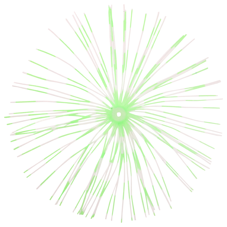 8.イエロータイガー