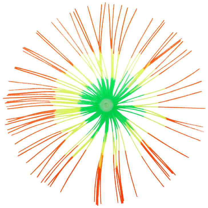 8.イエロータイガー