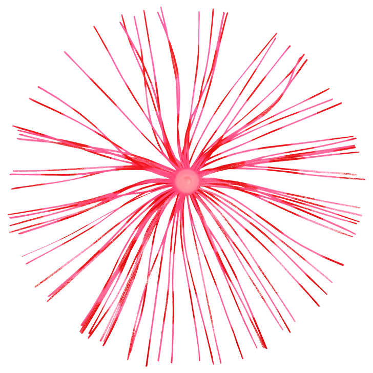 8.イエロータイガー