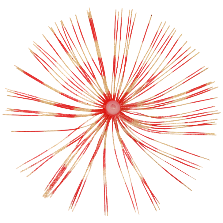 8.イエロータイガー