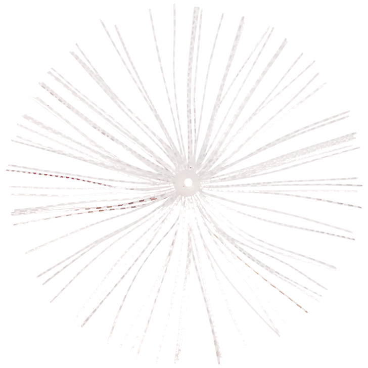 8.イエロータイガー