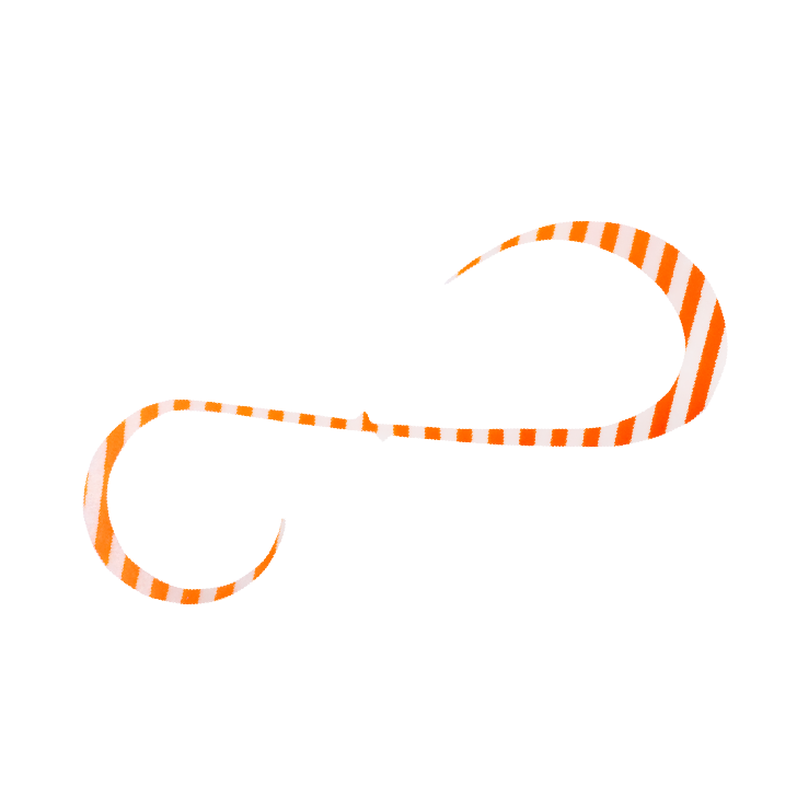 11.グローブライトオレンジゼブラ