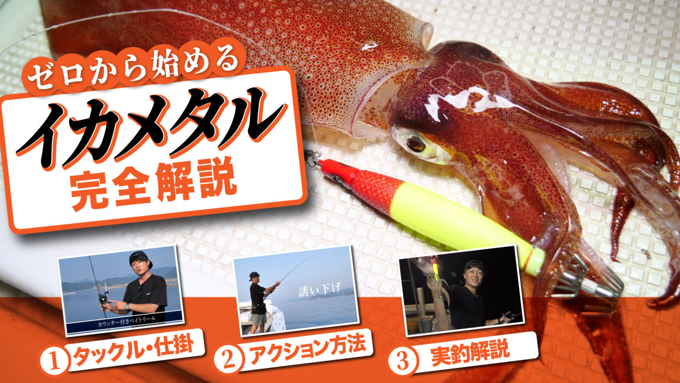 【ゼロから始めるイカメタル完全解説】初めてでも安心の丁寧解説！タックル・仕掛選びからアクション方法まで全てを網羅！
