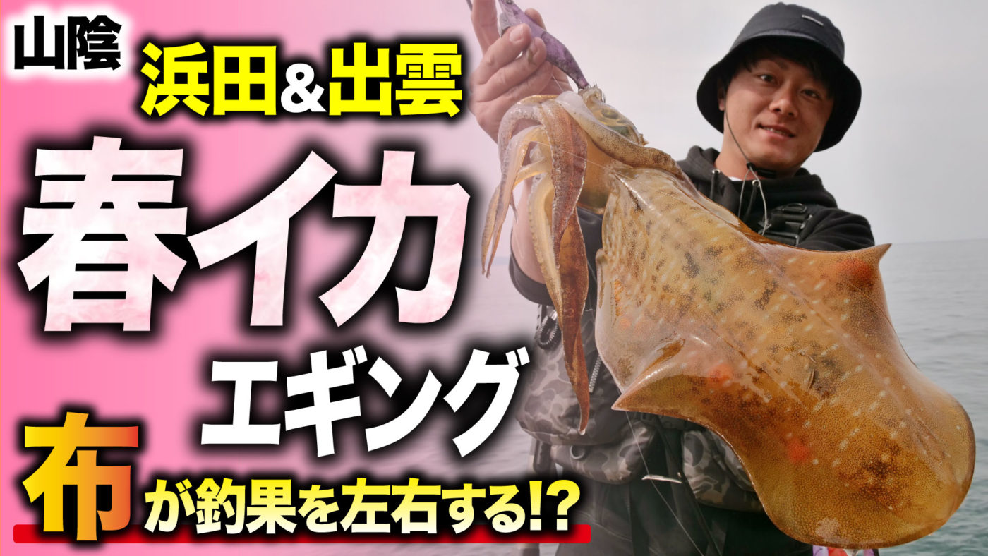 【春イカ】山陰・浜田&出雲で春イカエギング！『布』が釣果を左右する!?