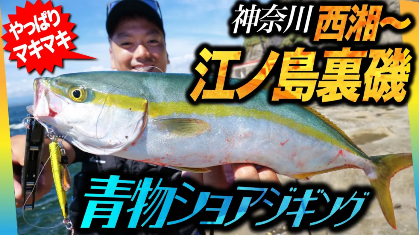 【江ノ島裏磯】神奈川でもやっぱりマキマキだ！青物ショアジギング関東編