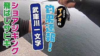 【2019年】武庫川一文字ショアジギング&飛ばしサビキ