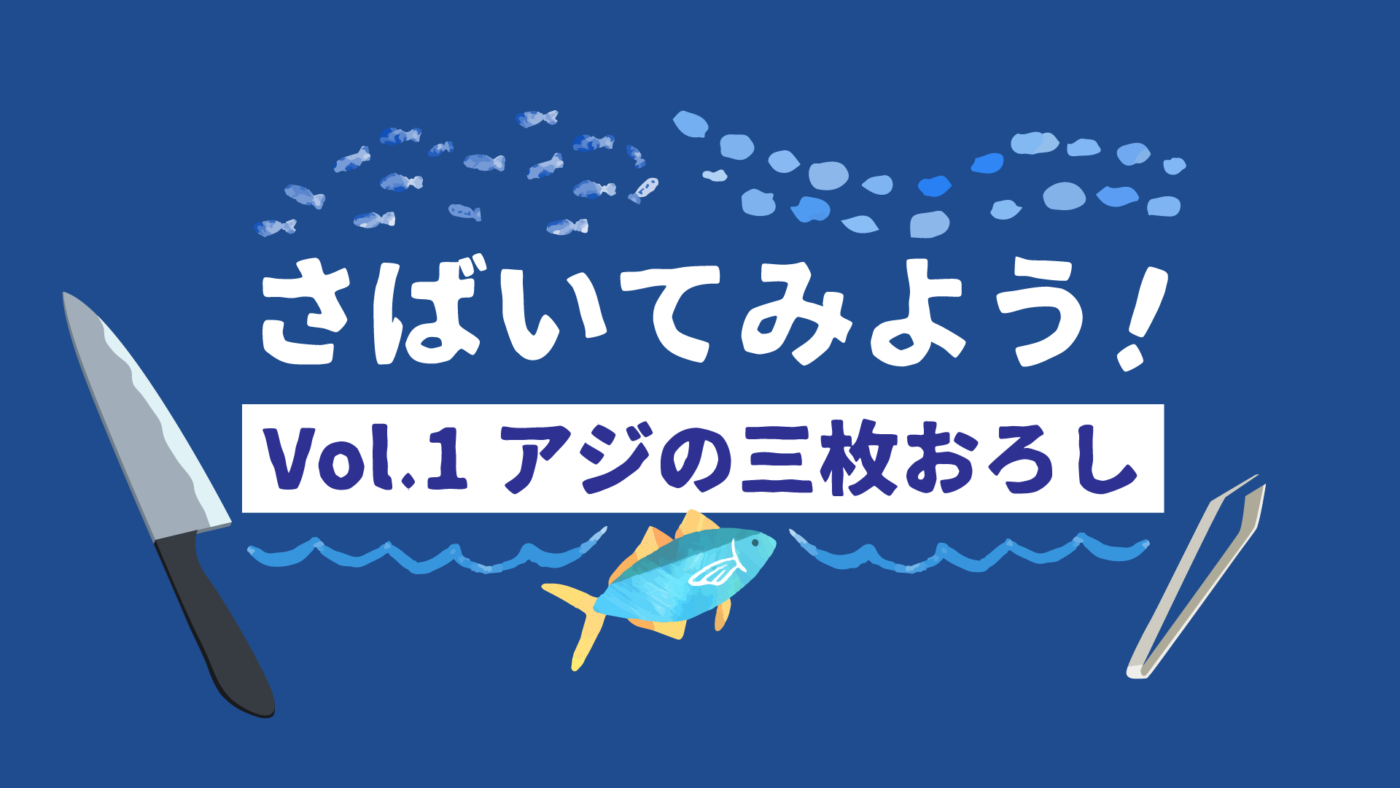 【お家でかんたん】さばいてみよう！vol.1 アジの三枚おろし