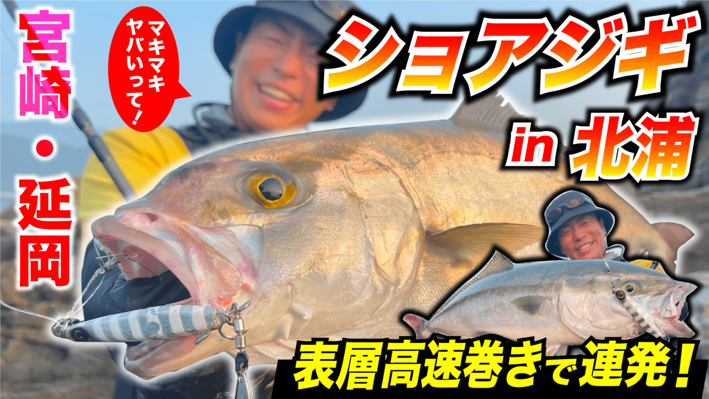 【ジャックアイ】表層高速巻きで連発!宮崎タダ巻きロックショアジギング!【ショアジギ】