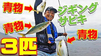 青物を3匹同時に釣る!｜神戸沖堤防ジギングサビキ