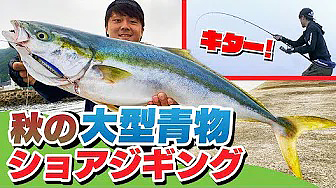 秋の大型青物ショアジギング！トップの聖地でもジグで釣りたい！