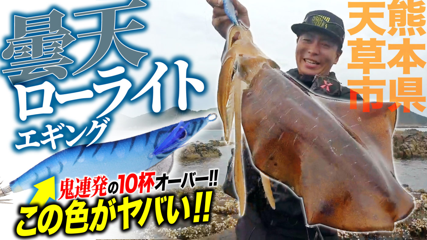 【天草エギング】曇天ローライト最強カラー！？鬼連発の天草沖磯エギング！【ハグハグ】