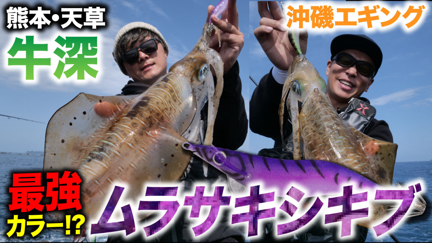 【最強カラー】沖磯エギングで春イカ連発！ムラサキシキブで良型ラッシュ！in熊本・天草エリア