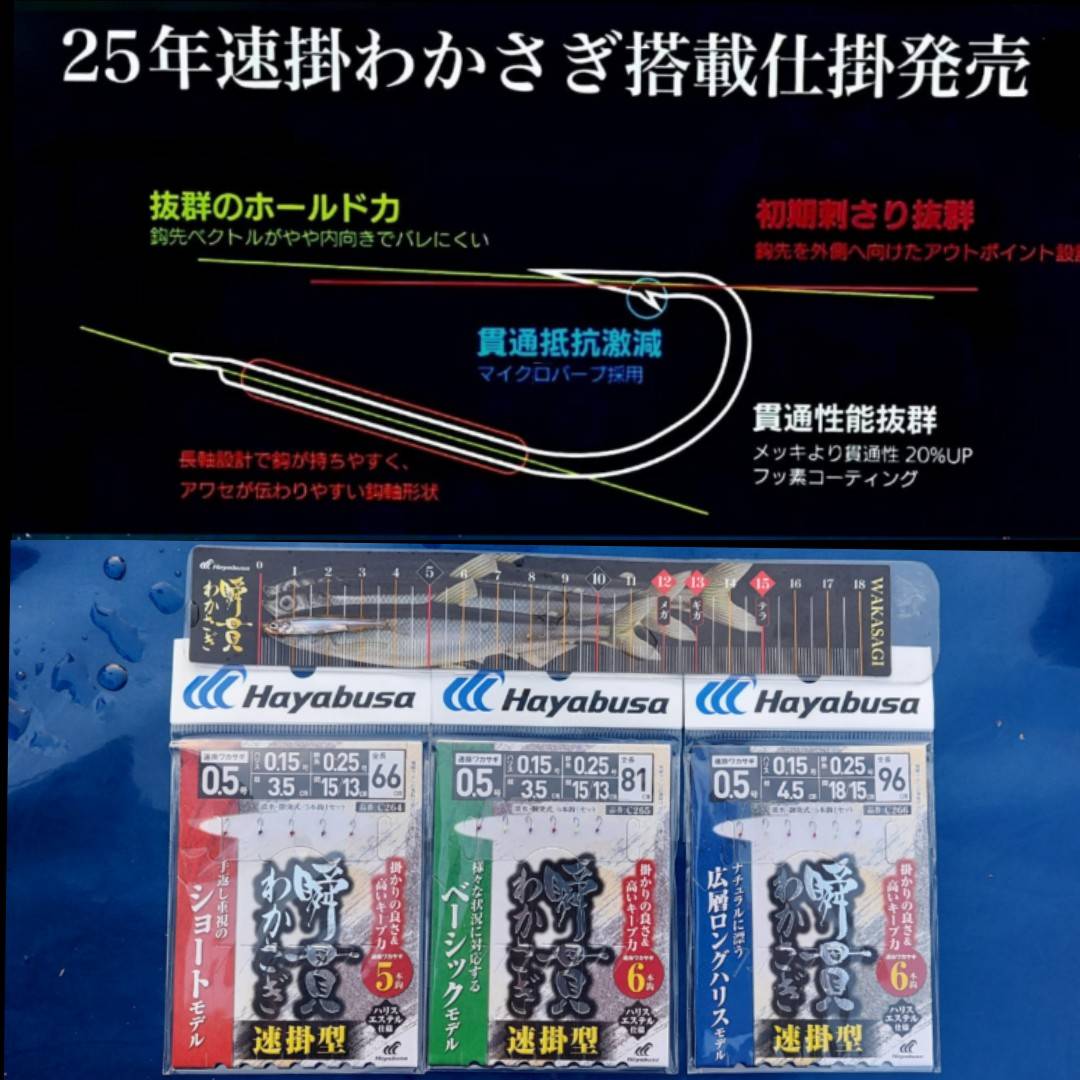 ワカサギ21匹(3.2㎝～4.5㎝)