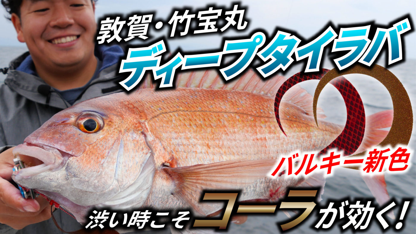 【タイラバ】バルキー新色で敦賀沖ディープタイラバ！渋い時こそ”コーラ”が効く！【敦賀・竹宝丸】