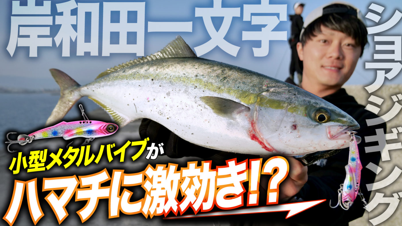 【ショアジギング】小型メタルバイブがハマチに激効き！？春の岸和田一文字ショアジギング