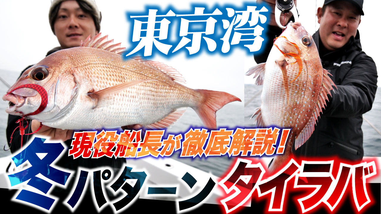 【東京湾タイラバ】冬パターン開幕!現役船長が東京湾タイラバを徹底解説!