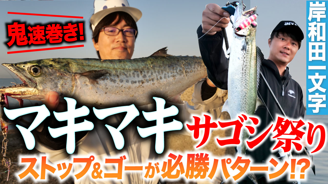 【マキマキ】岸和田一文字サゴシ祭り!鬼速巻きのストップ&ゴーが必勝パターン!?