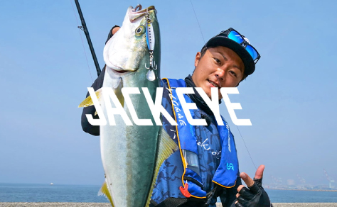 矢作まーくん様専用 三つセット やか