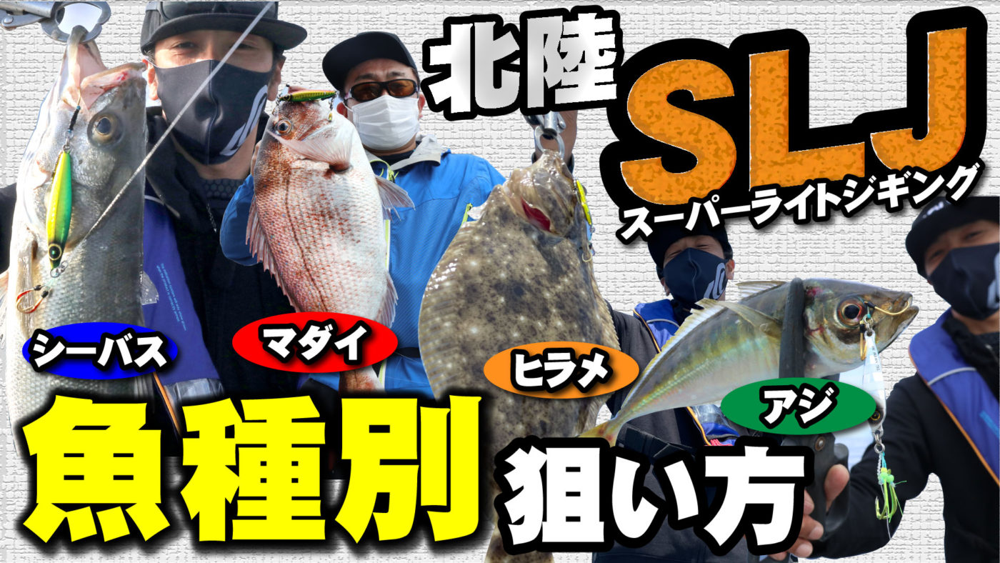 北陸スーパーライトジギング！魚種別狙い方大全！