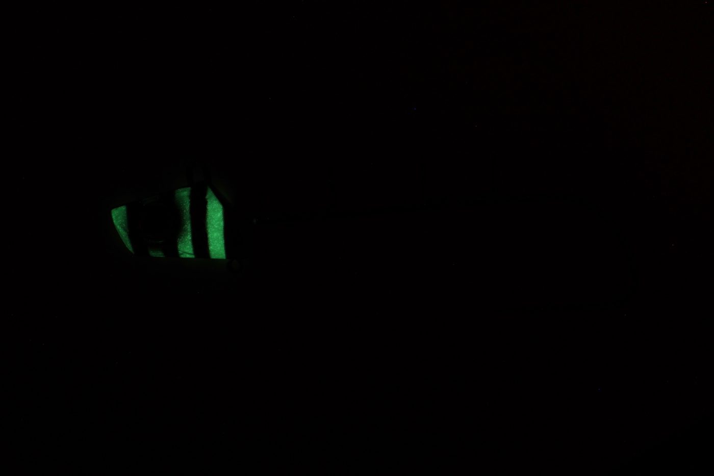 2.ケイムラムラピン夜光ゼブラ（発光イメージ）