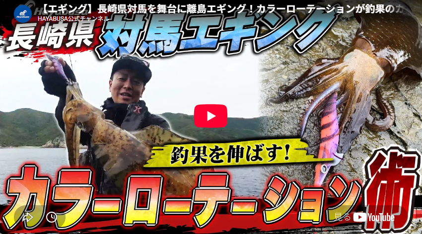 【エギング】長崎県対馬を舞台に離島エギング!カラーローテーションが釣果のカギ!