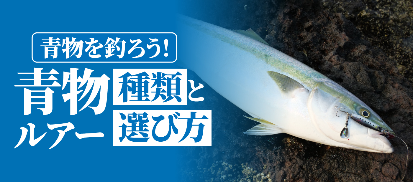 Hayabusa 株式会社ハヤブサ Hayabusa 株式会社ハヤブサ