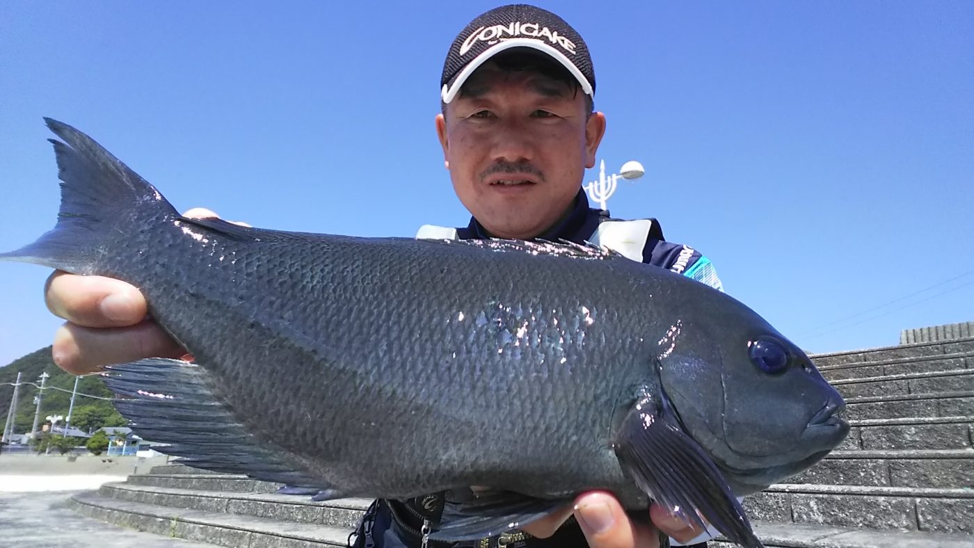 南紀・すさみの磯で 数釣りを満喫