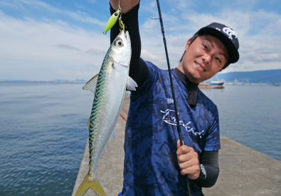 小型回遊魚もフォールで釣れる！