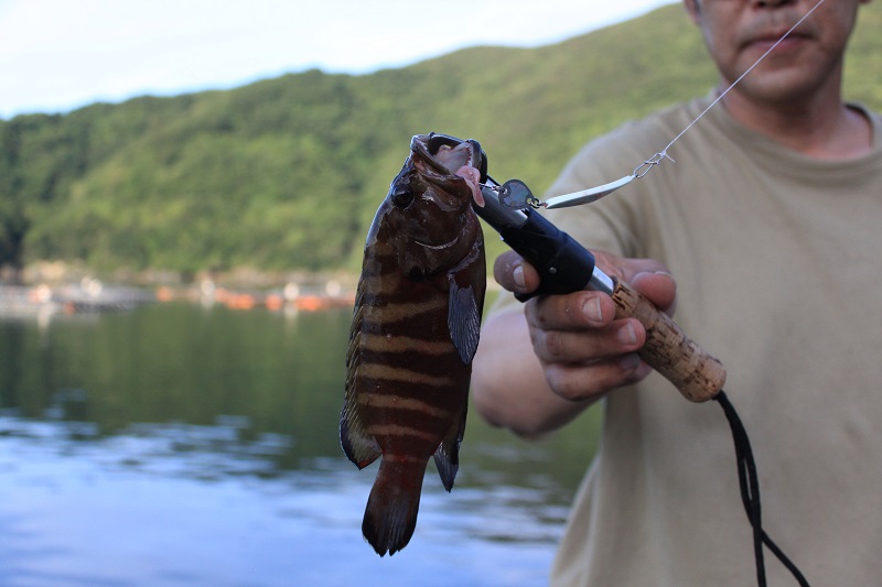 「集魚ブレード」でターゲットをメロメロに！