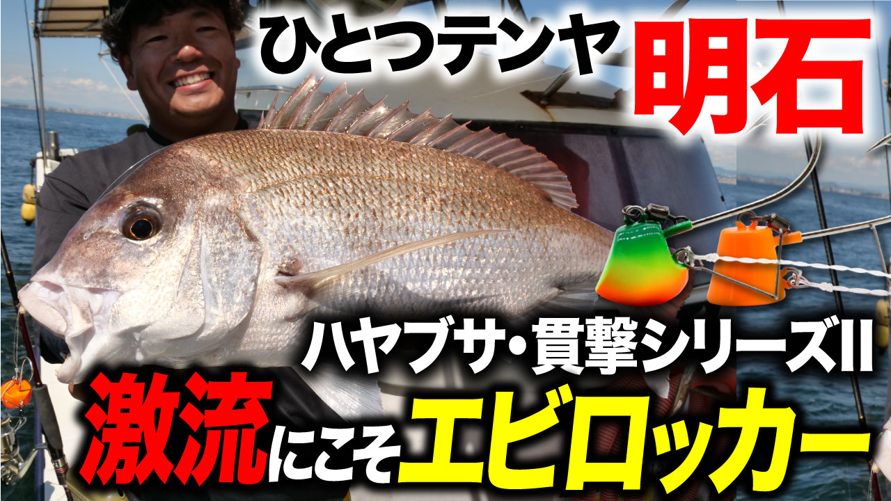 【一つテンヤ】明石の激流にこそエビロッカー!ハヤブサ・貫撃シリーズⅡで流行中の明石一つテンヤを攻略!