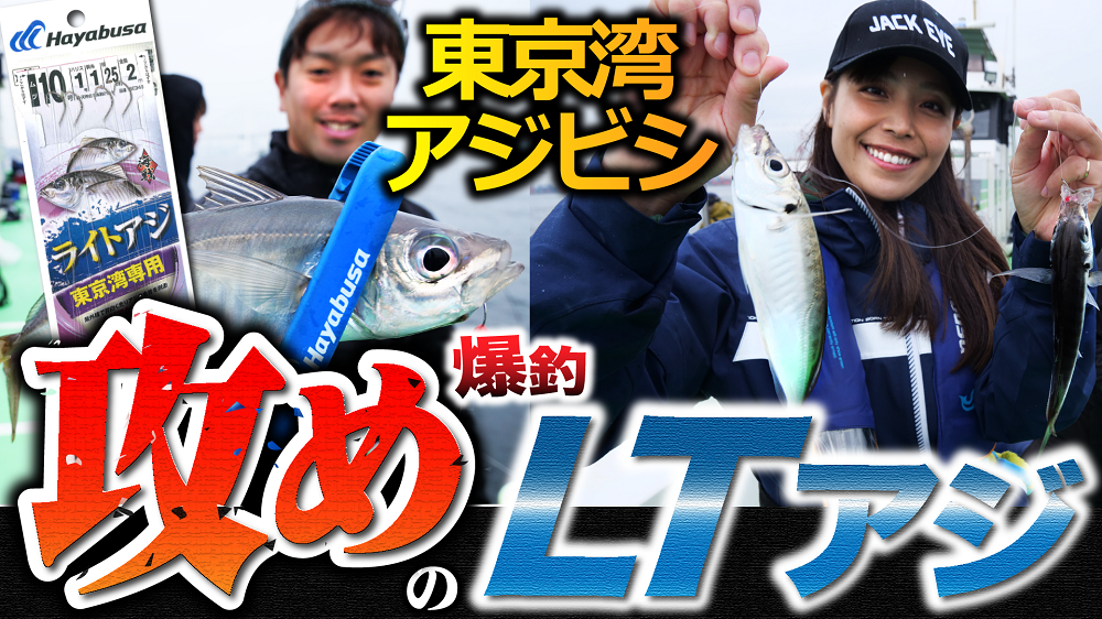 【東京湾アジビシ】”攻め”のLTアジ！東京湾専用仕掛とライン引き釣法で爆釣！