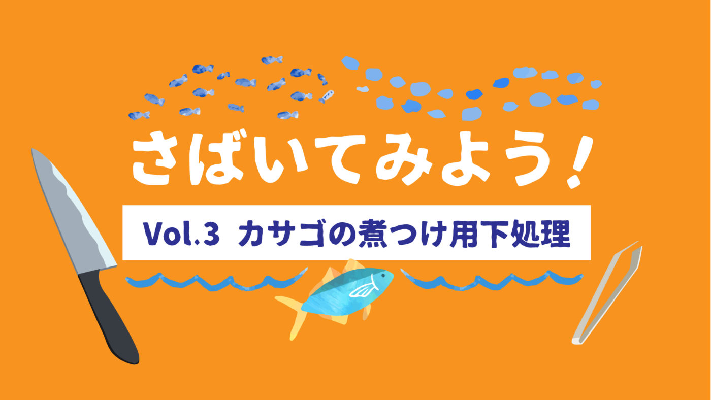 【お家でかんたん】さばいてみよう！vol.3 カサゴの煮つけ用下処理