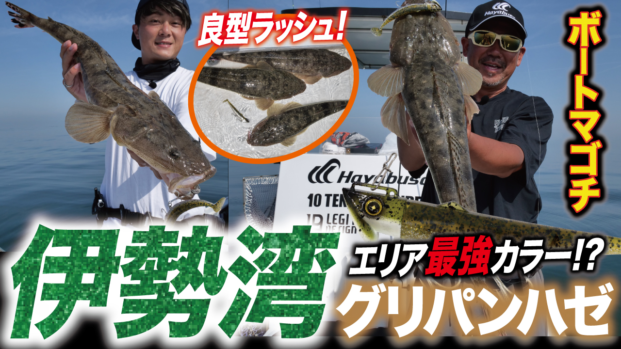 【ボートマゴチ】伊勢湾最強カラー!?伊豫部巧監修の伊勢湾グリパンハゼで良型マゴチラッシュ！