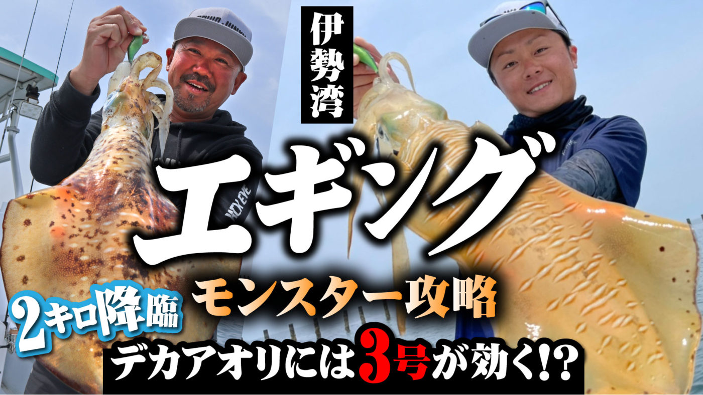 【エギング】2キロ降臨・モンスター攻略！デカアオリには3号が効く⁉伊勢湾ボートエギング