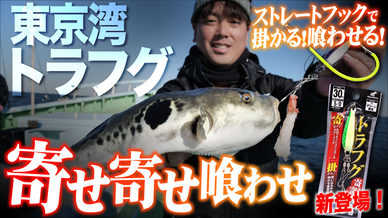 【東京湾】トラフグ開幕!新登場「寄せ寄せ喰わせ」でシーズン序盤の東京湾トラフグ完全攻略!